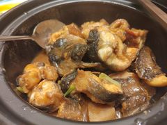 -龙悦湾酒家·八阵鱼生·渔人码头店
