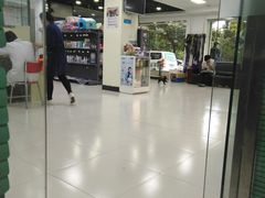 -天使宠物医院·犬猫分诊(彩虹店)