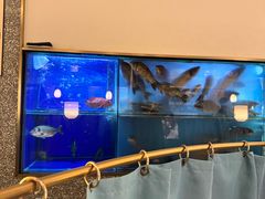-顺峰顺水顺德菜(第一百货店)