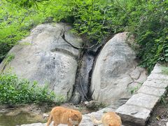 -北京凤凰岭