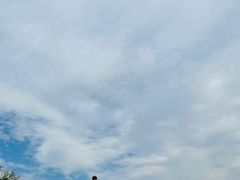 -盘龙城遗址博物院