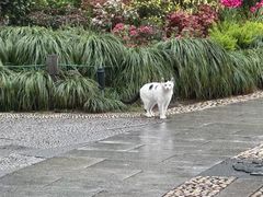 -河坊美食街(河坊街店)
