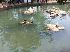 -昆明动物园