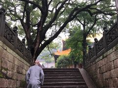 -普陀山风景名胜区-法雨禅寺