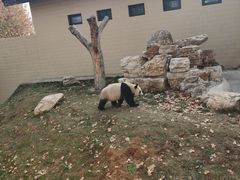 -石家庄市动物园