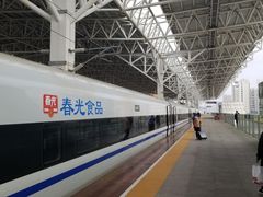 -海口东站