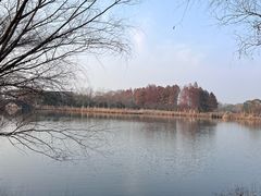 -苏州太湖国家湿地公园