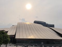 -合肥大剧院
