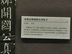 -贵州省博物馆(新馆)