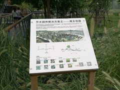 -东郊湿地公园