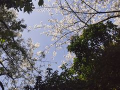 -无锡梅园公园
