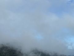-野象谷景区