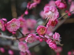 -白塘生态植物园