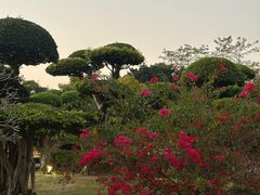 -南宁南湖公园