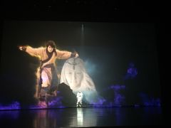 -合肥大剧院