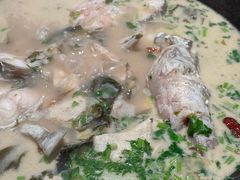 -鲜潭蒸汽石锅鱼(五道口购物中心店)