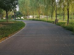 -东郊湿地公园