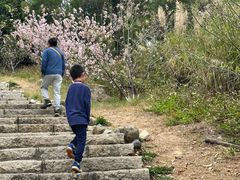 -梵天禅寺