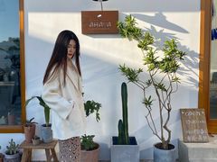 -AHAVA·Fang Baking Studio