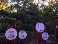 -迎泽公园