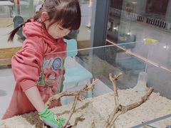 -怪兽屋·羊驼·猫咖·狗咖(俊华广场店)