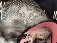-联合动物医院(光谷诊疗中心)