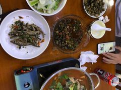 -全乐鱼馆·淳牌有机鱼直营店