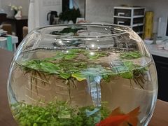 -燕庭·纯燕窝·甜品下午茶(南京西路店)