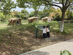-上海都市菜园