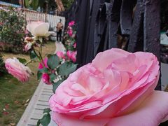 -人民公园(罗湖区)