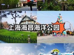 -上海海昌海洋公园