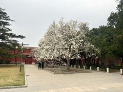-北京市劳动人民文化宫(太庙)