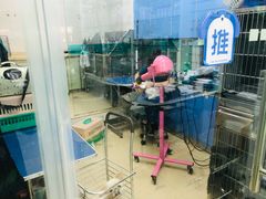 -瑞派动物医院·猫专科·至诚(江南中分院)