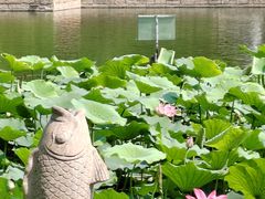 -团结湖公园