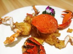 -割烹旭日本料理(龙湖狮山天街店)