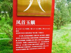 -北京大葆台遗址博物馆