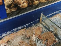 -深海壹品海鲜自助餐厅(吾悦广场店)