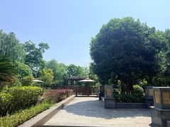 -成都安仁福朋喜来登酒店