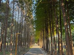 -上海浦江郊野公园-5号停车场