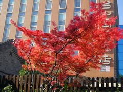 -北京市公安局公安交通管理局西城交通支队停车场