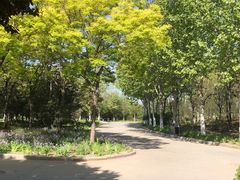 -山东师范大学(千佛山校区)