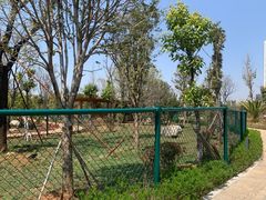 -云南艺术学院(呈贡校区)