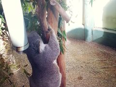 -费瑟代尔野生动物园