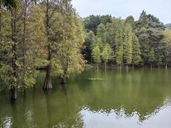 -广州市白云山风景名胜区