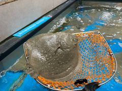 -盒马鲜生(王府广场店)
