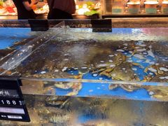 -炊江南·上海菜(国展华漕店)