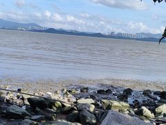 -深圳湾公园(南山区)