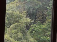 -点都德(广州白云山景区南门店)