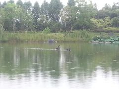 android_upload_pic-上海怡沁园度假酒店