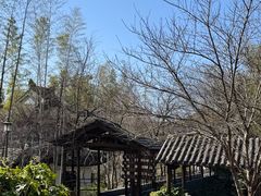 -木子山庄·安徽省老字号·中国炖锅宴